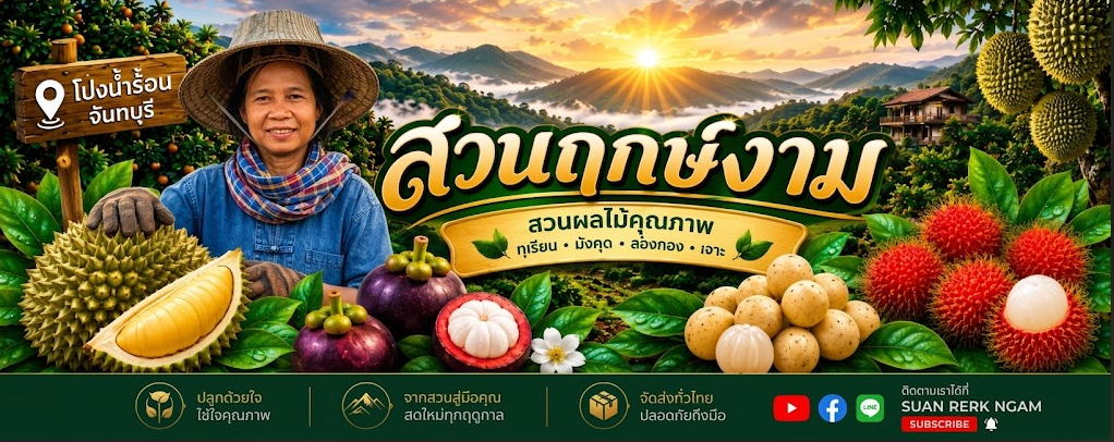 ทุเรียนจันท์ บ้านสวนผู้กอง